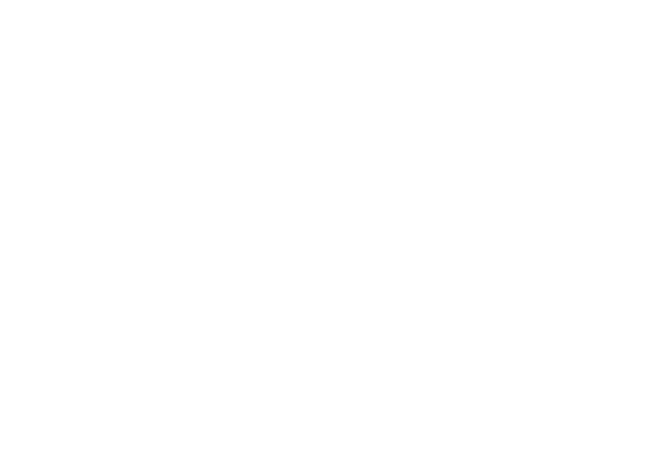 logo dg imports